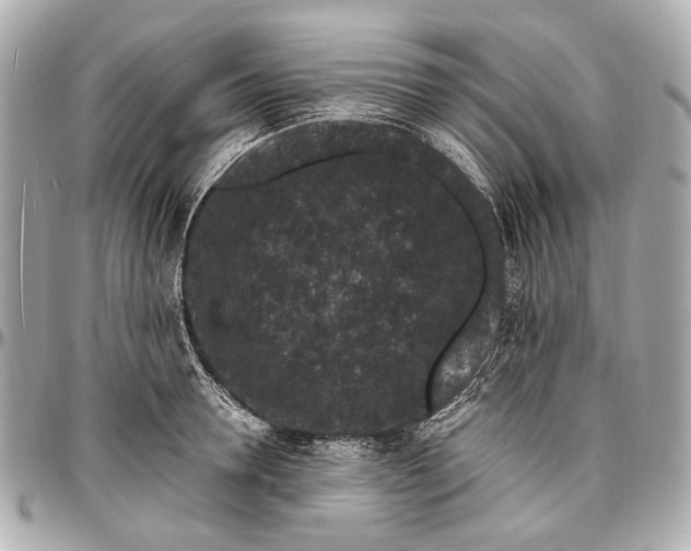 X0000096990946200802221454