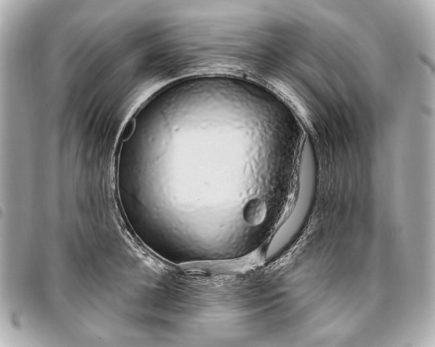 X0000096990948200802221454