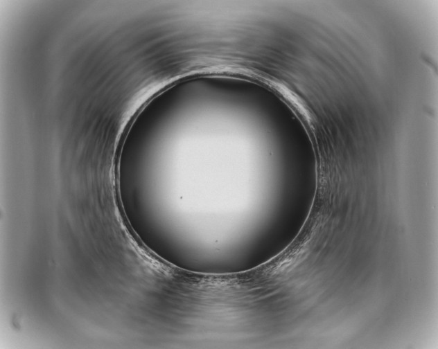 X0000096990951200802221454