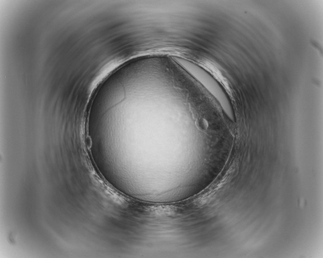 X0000096990952200802221454