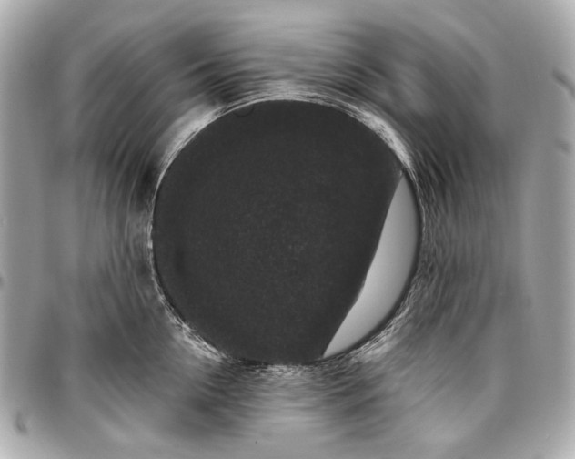 X0000096990954200802221454