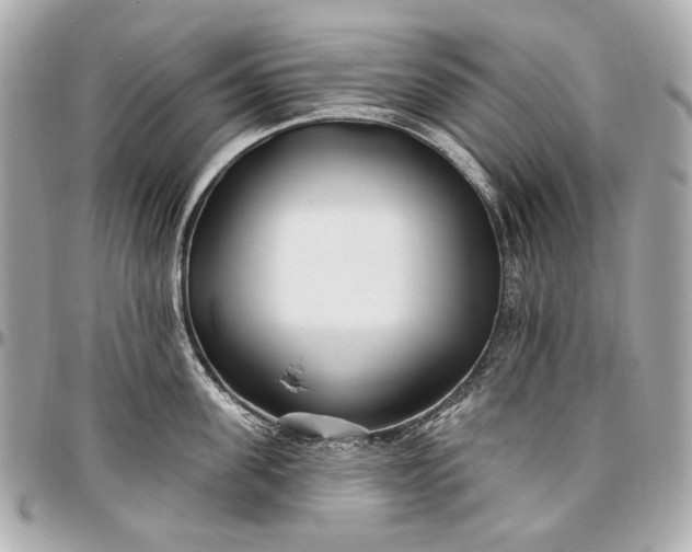 X0000096990955200802221454