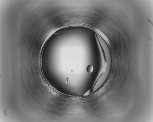 X0000096990956200802221454