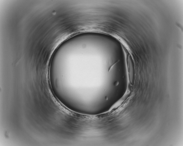 X0000096990957200802221454