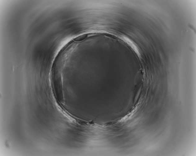 X0000096990958200802221454