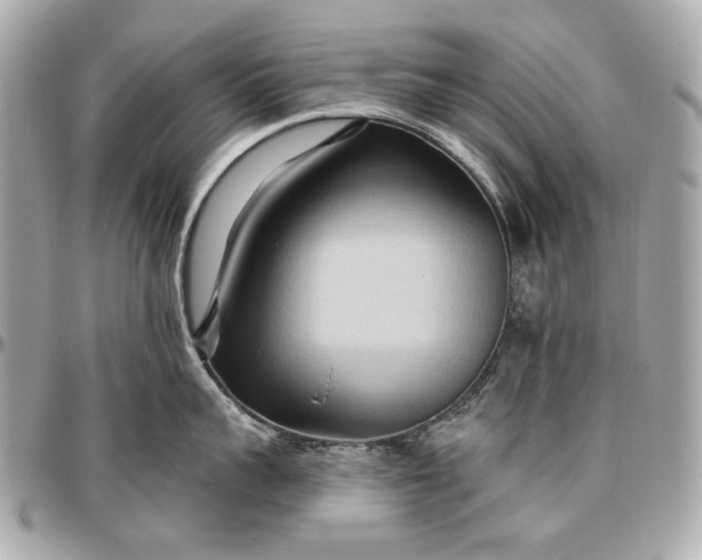 X0000096990959200802221454