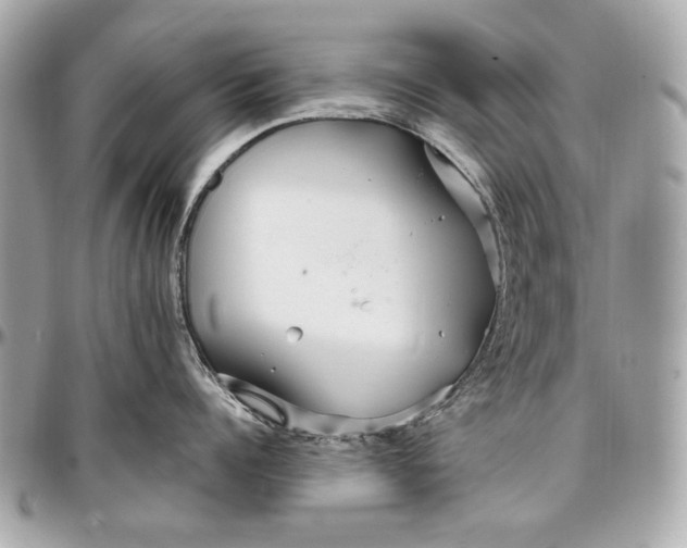 X0000096990960200802221454