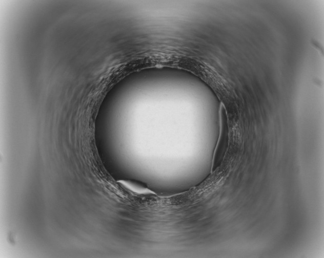 X0000096990961200802221454