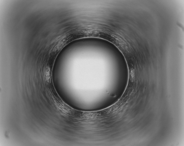 X0000096990963200802221454