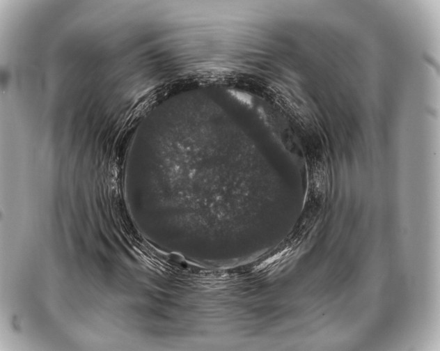 X0000096990964200802221454