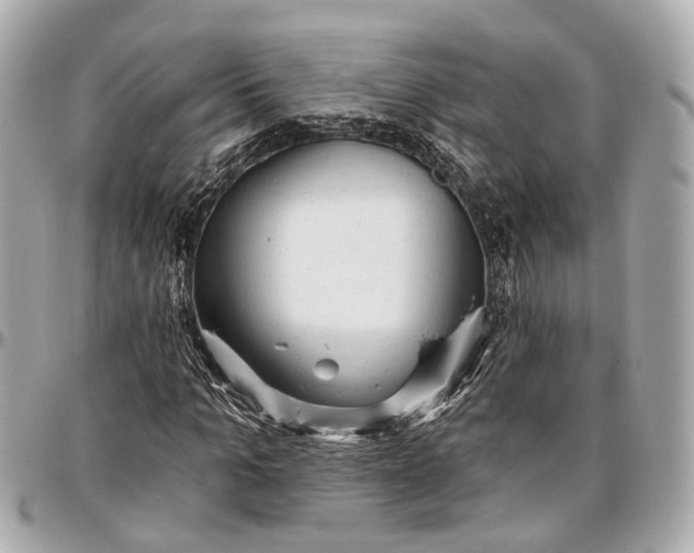 X0000096990965200802221454