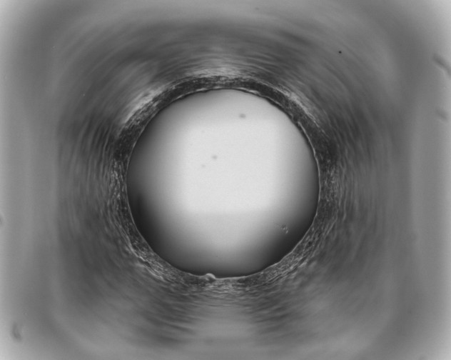 X0000096990967200802221454