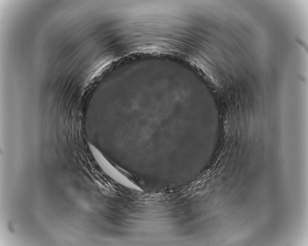 X0000096990968200802221454