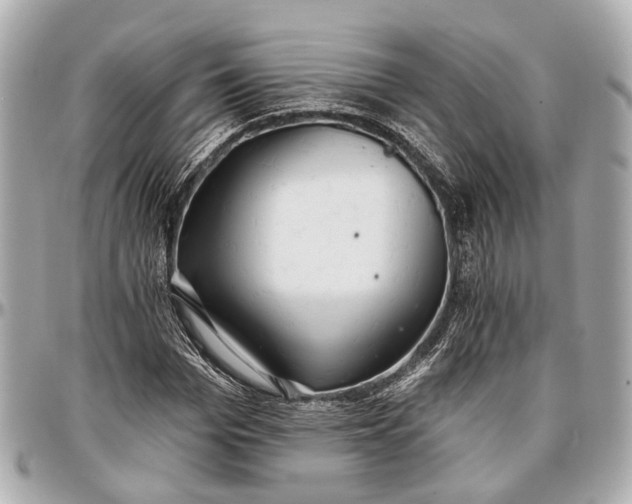 X0000096990969200802221454