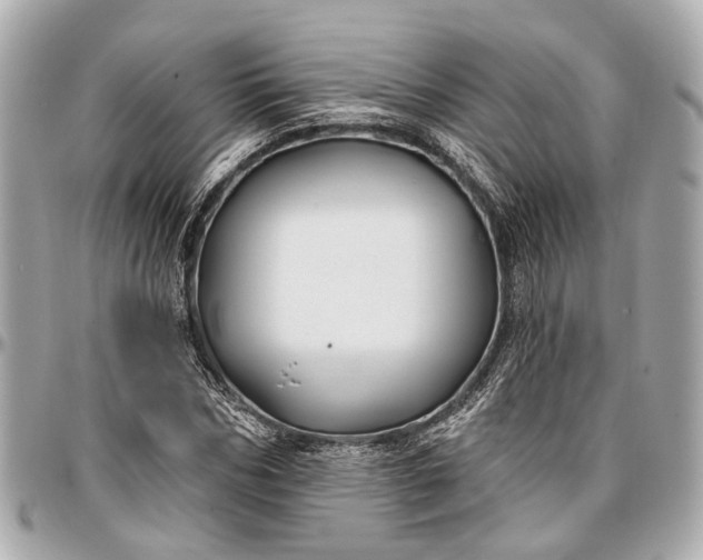 X0000096990970200802221454