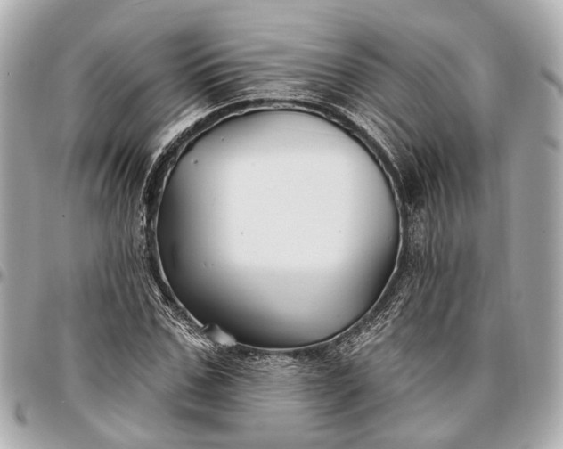 X0000096990971200802221454