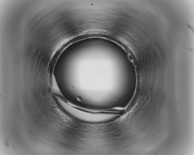 X0000096990973200802221453
