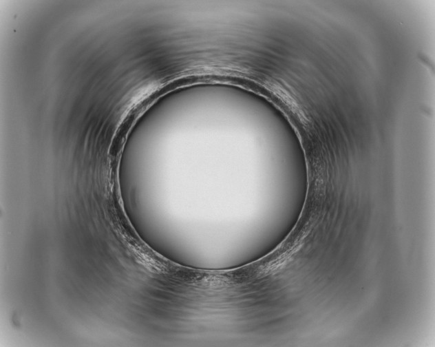 X0000096990974200802221453