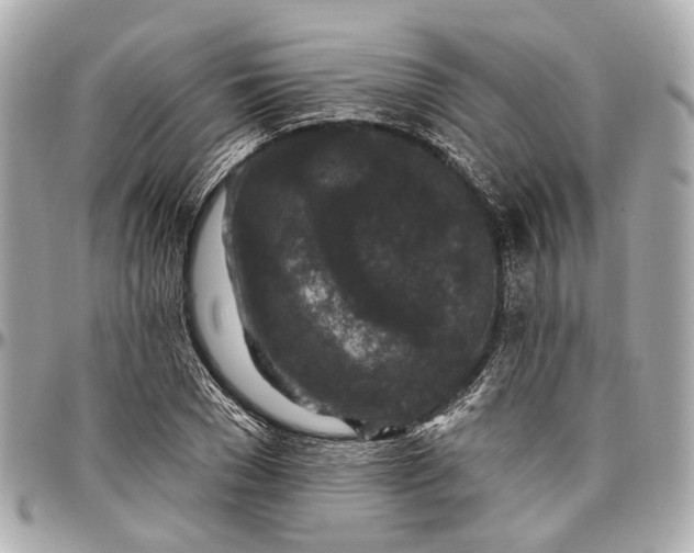 X0000096990977200802221453