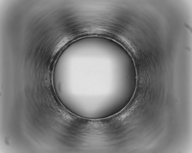 X0000096990978200802221453