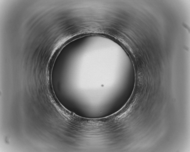 X0000096990981200802221453