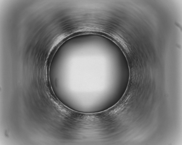X0000096990982200802221453