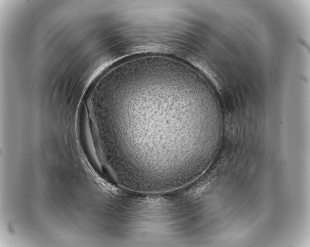 X0000096990983200802221453