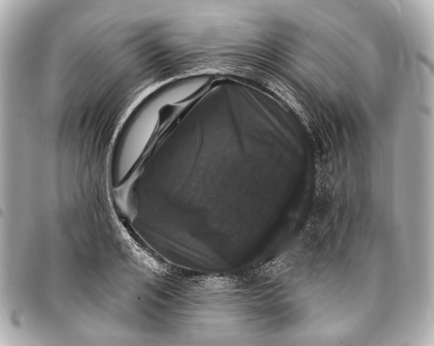 X0000096990984200802221453
