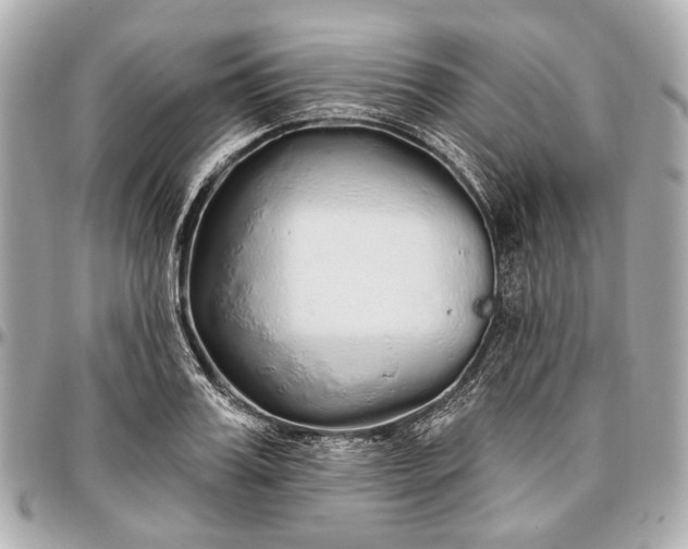 X0000096990987200802221453