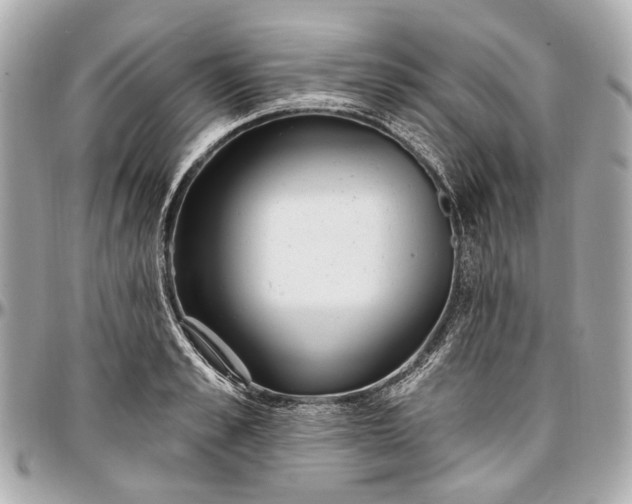 X0000096990989200802221453