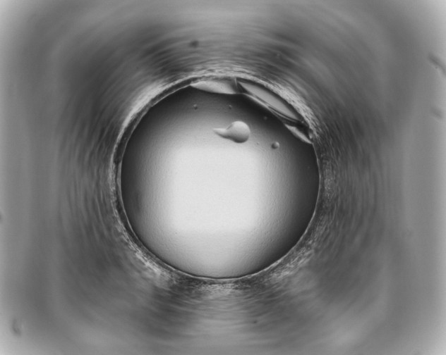 X0000096990990200802221453