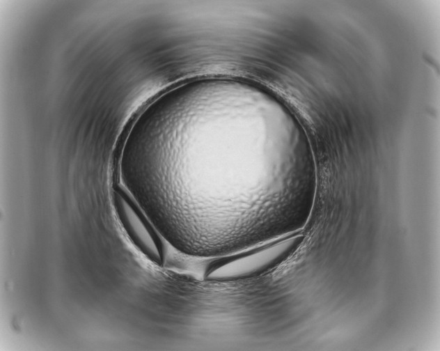 X0000096990991200802221453