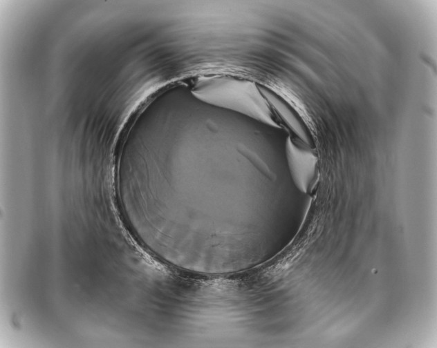 X0000096990992200802221453