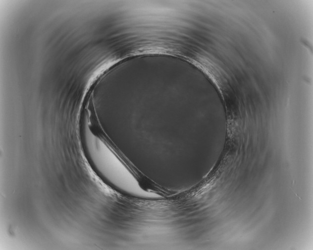 X0000096990995200802221453