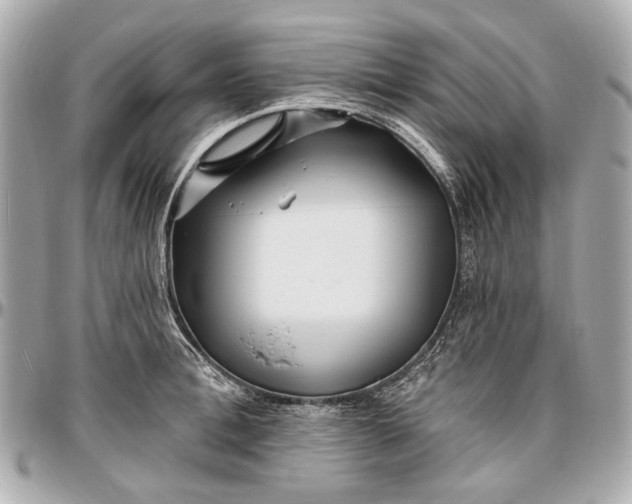 X0000096990996200802221453