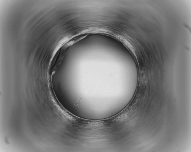 X0000096990997200802221453