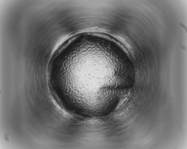 X0000096990998200802221453