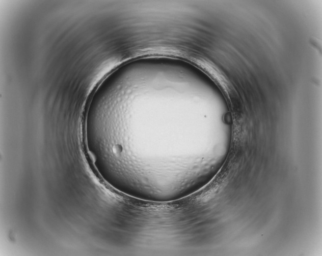 X0000096990999200802221453