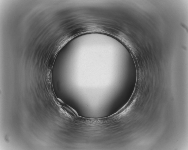 X0000096991001200802221453