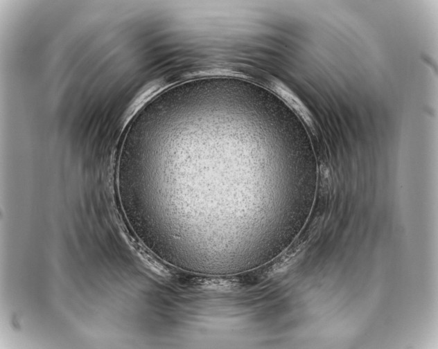 X0000096991002200802221453