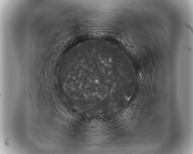 X0000096991009200802221452
