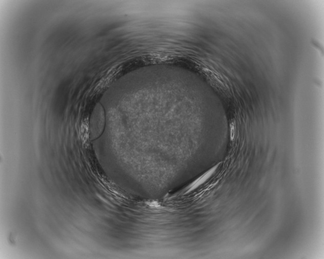 X0000096991011200802221452