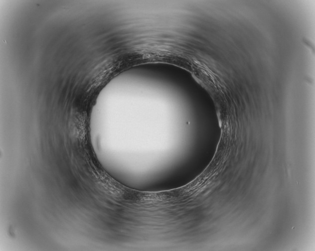 X0000096991012200802221452