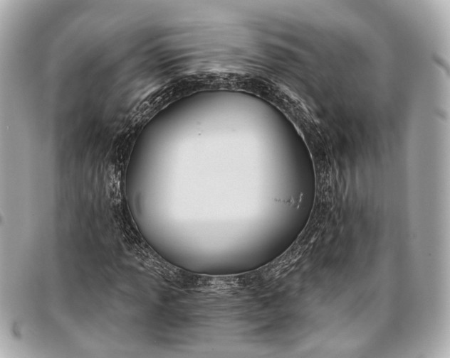 X0000096991013200802221452