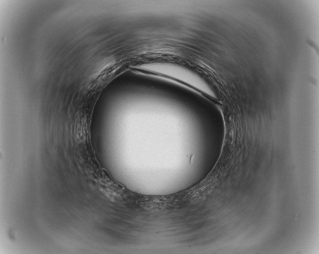 X0000096991014200802221452