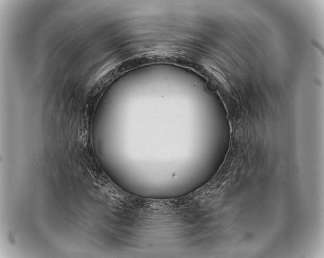 X0000096991015200802221452