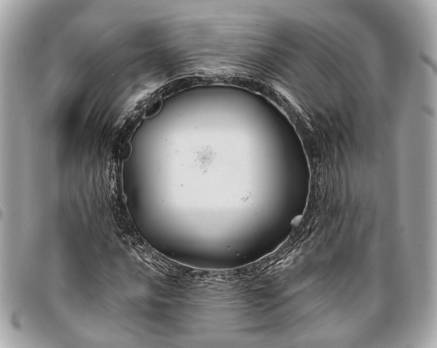 X0000096991016200802221452