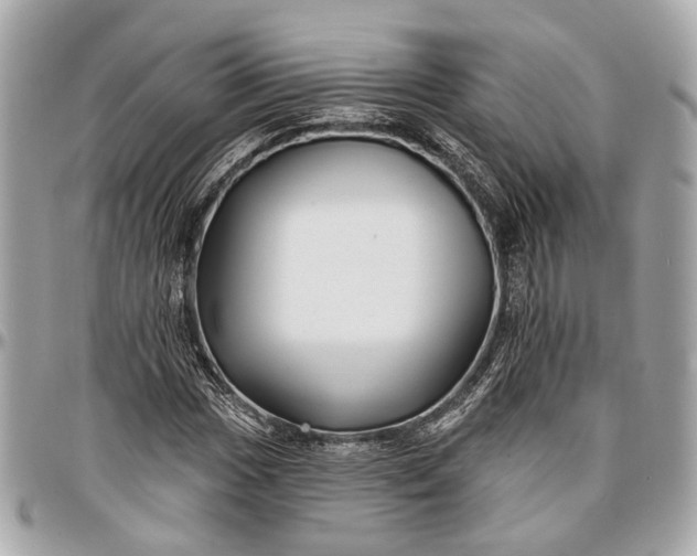 X0000096991017200802221452