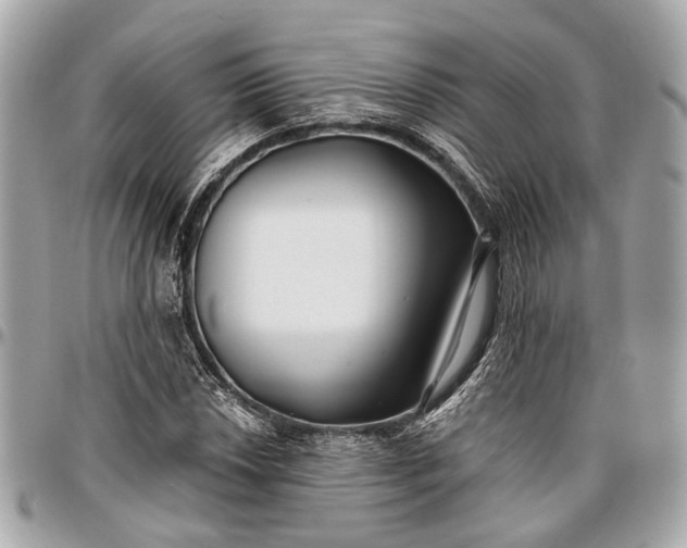 X0000096991018200802221452