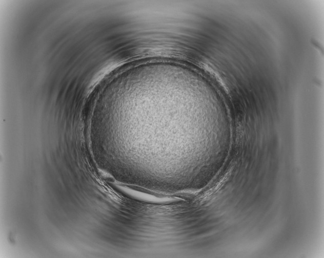 X0000096991019200802221452